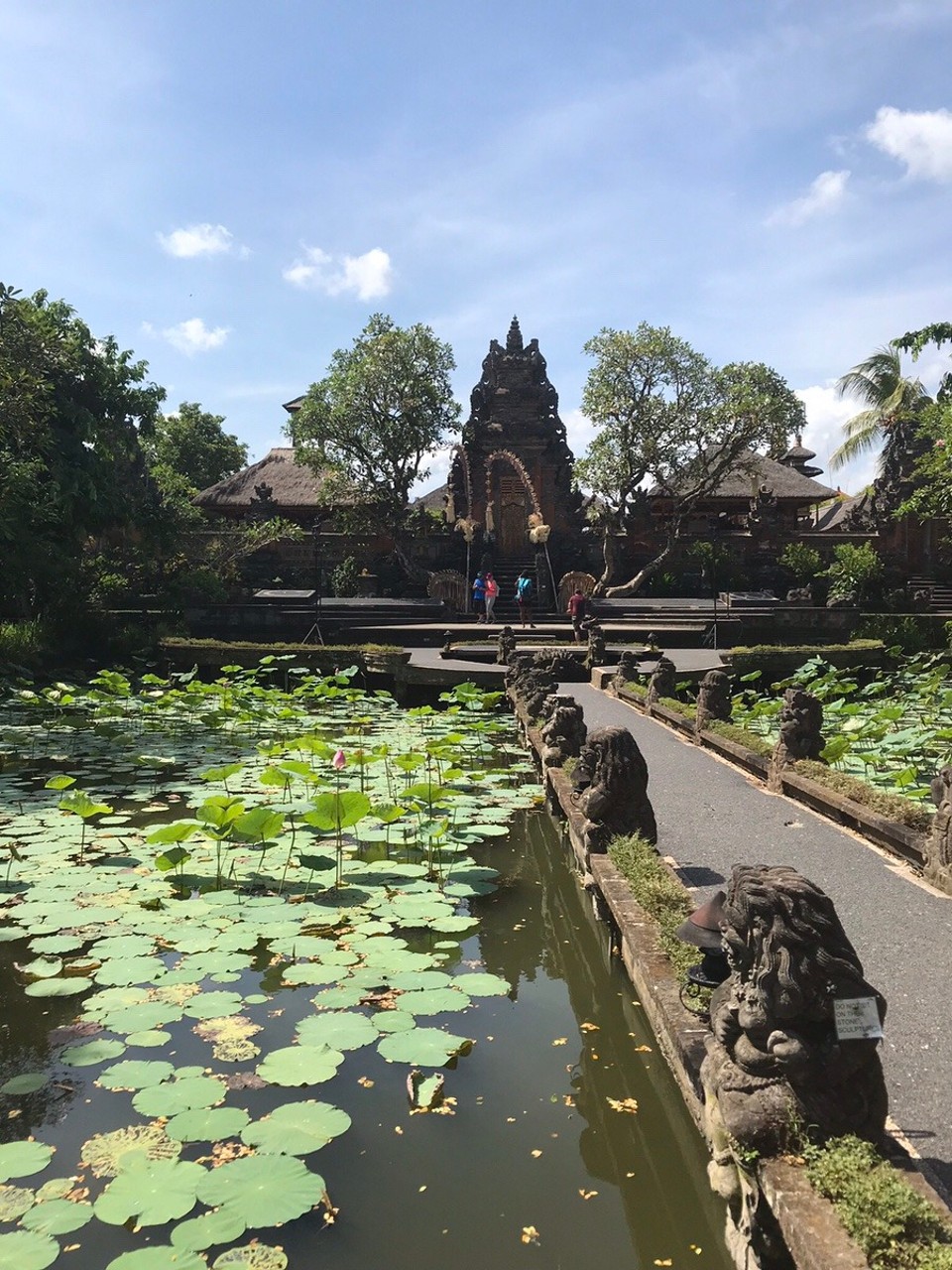 Indonesia - Gianyar - The pond at the Lotus Cafe