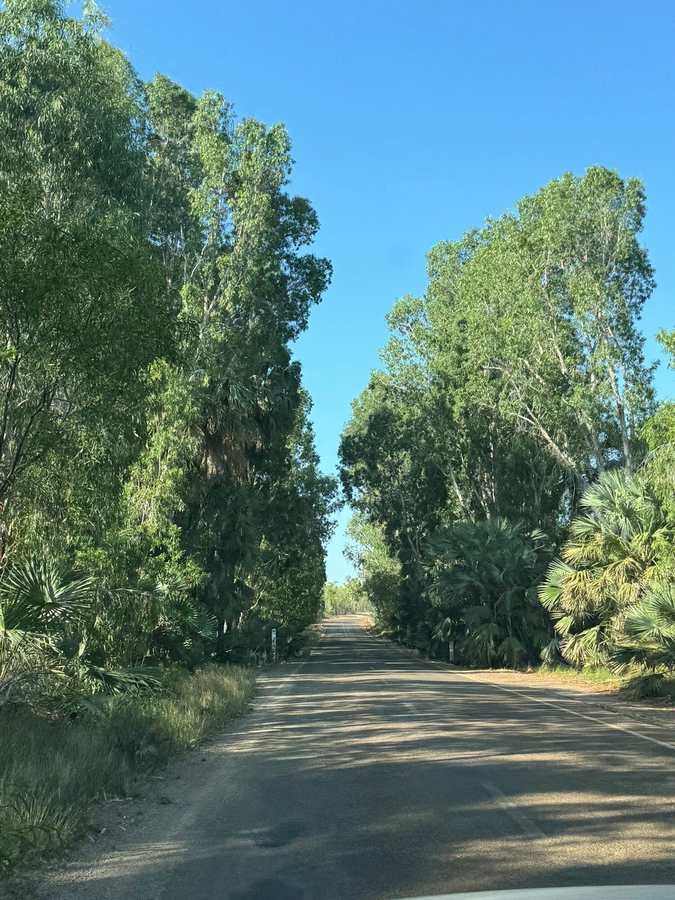Australien - Mataranka - Ir nöchi vu da Quella gruanets widr.