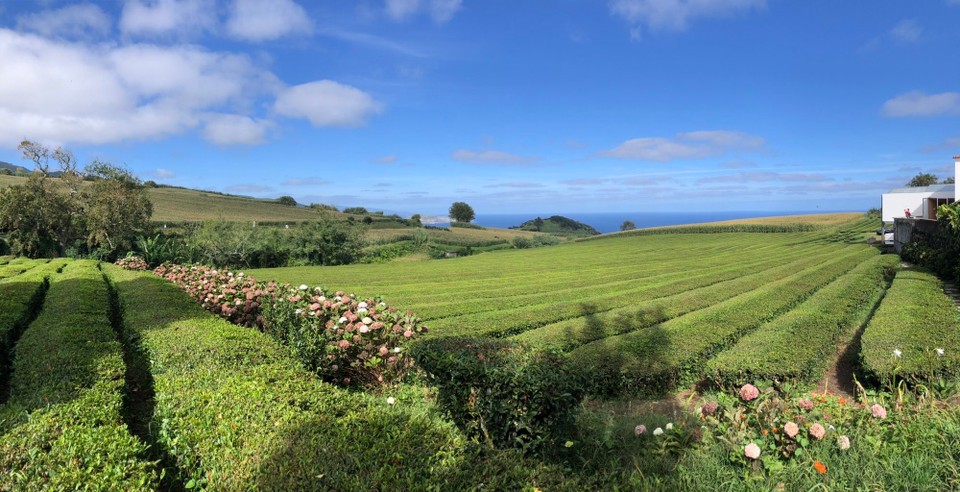 Portugal - Ribeira Grande - 