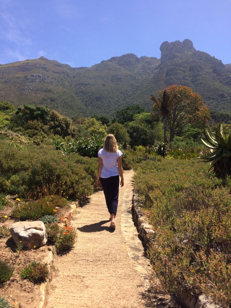  - Südafrika, Kirstenbosch - 