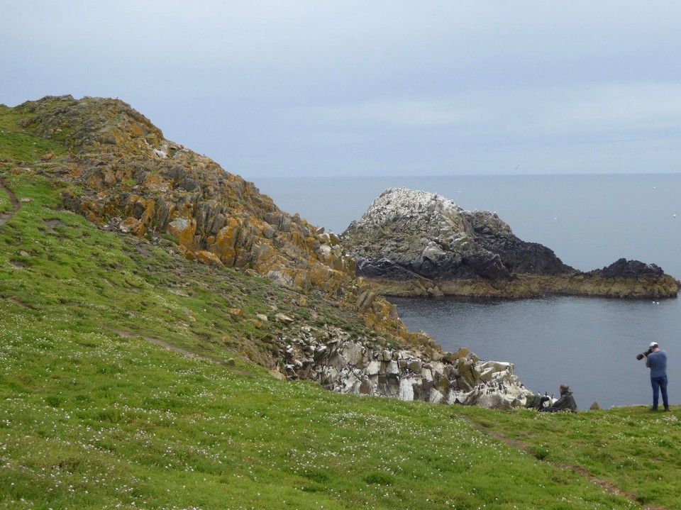 Ireland - Kilmore Quay - A beautiful bay full of seabirds and photographers.