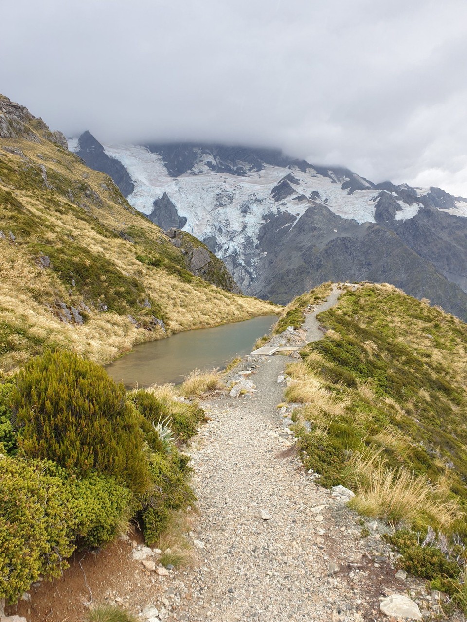 Neuseeland - Aoraki - 