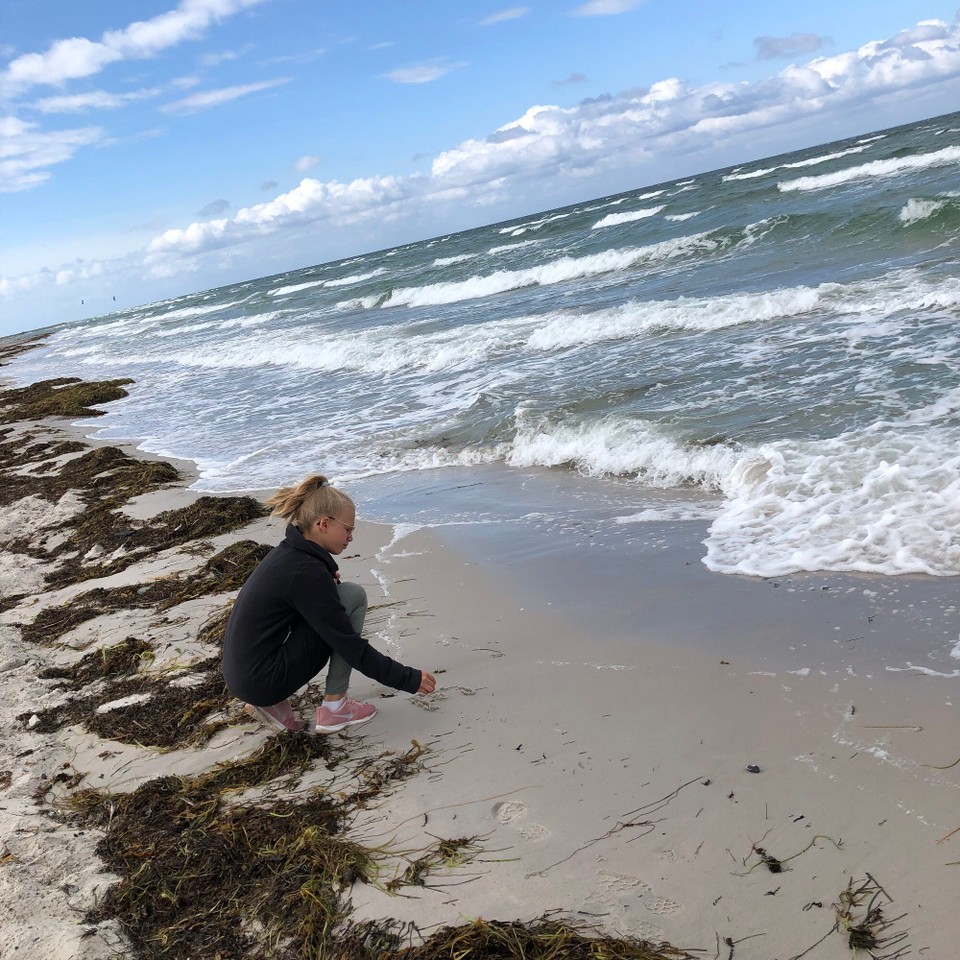 Schweden - Vellinge - 