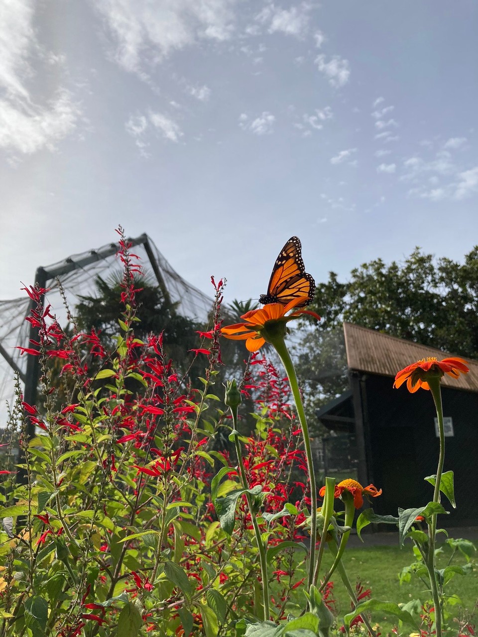 Neuseeland - Gisborne - 