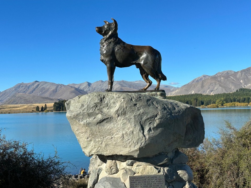 Neuseeland - Pukaki - 