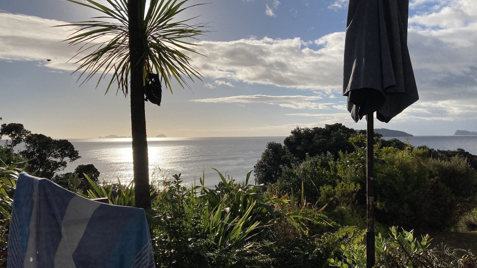 Neuseeland - Whitianga - 