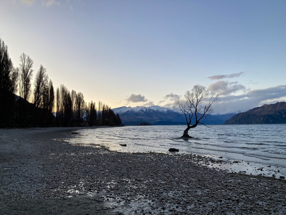 Neuseeland - Wanaka - Nach dem Regen steht der Baum sogar endlich wieder im Wasser 😅