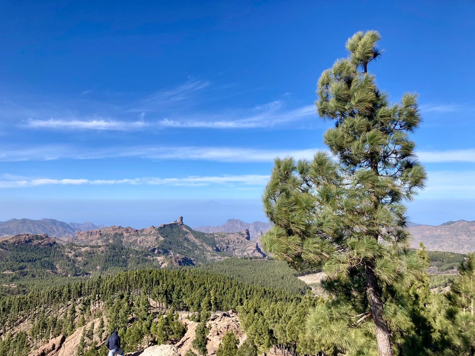 Spanien - Tejeda - 