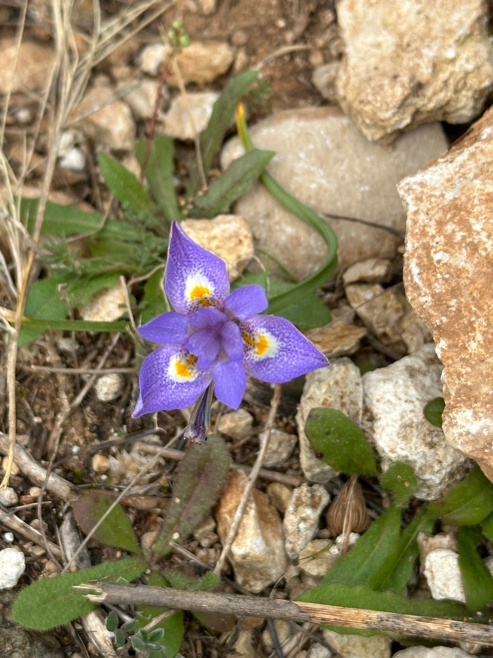 Spanien - Gata de Gorgos - 