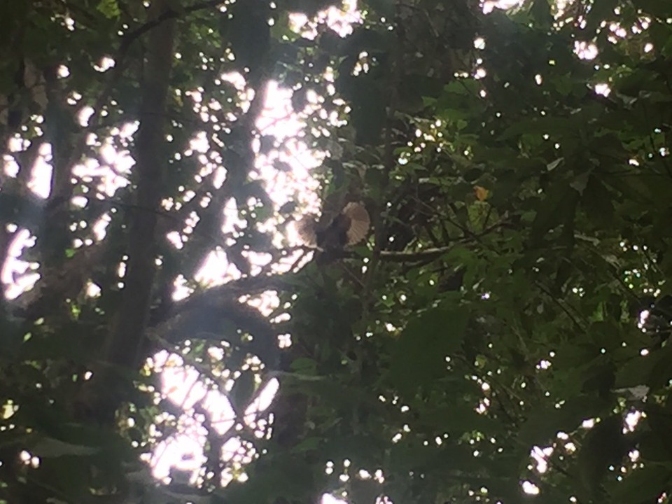  - Australia, Crater Lakes National Park - 