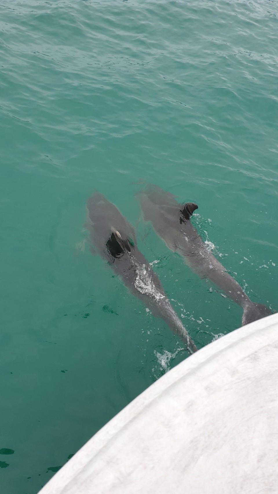 Neuseeland - Invercargill - 