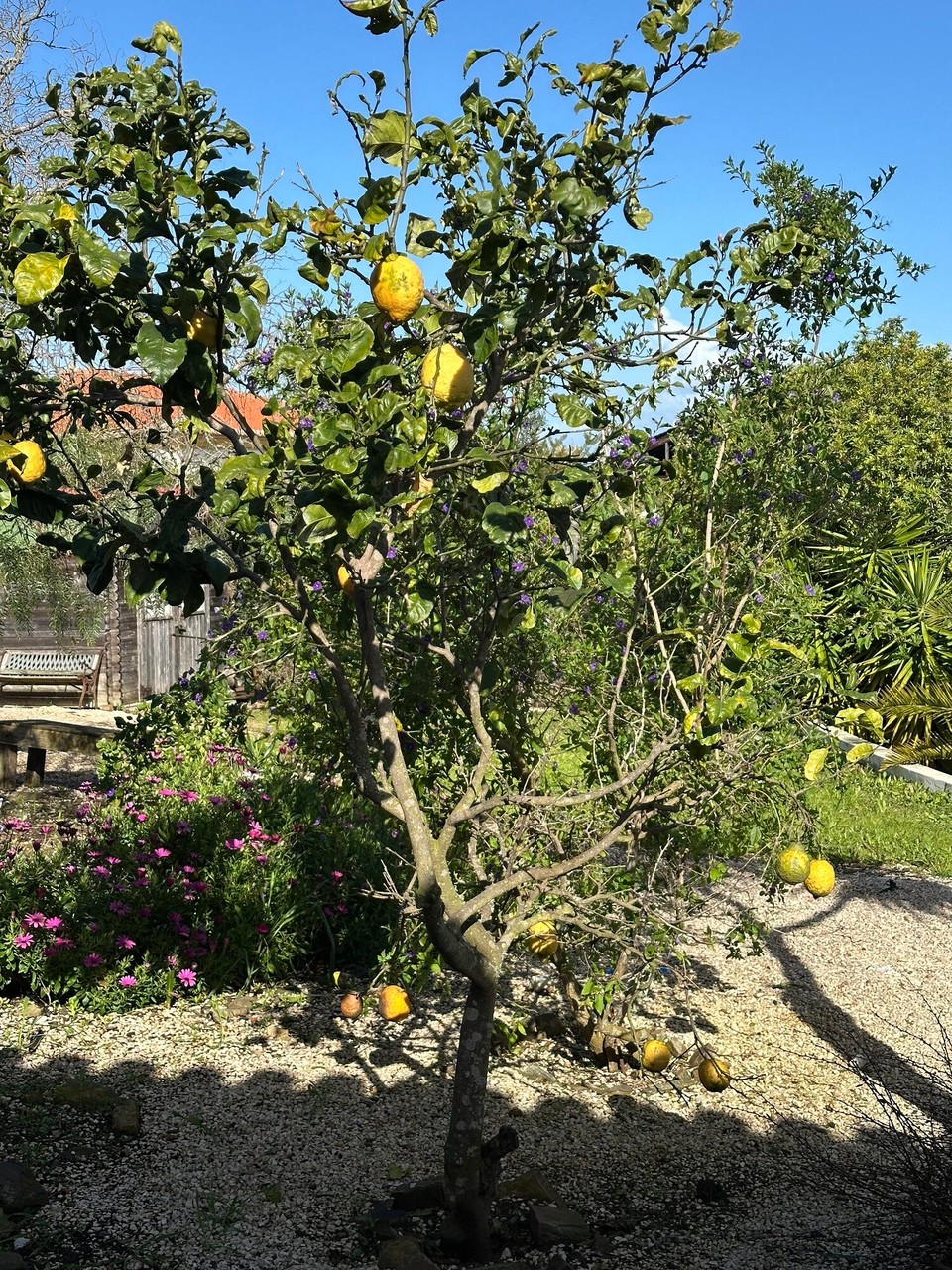 Portugal - Aljezur - 