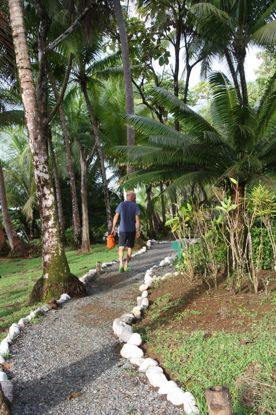 Costa Rica - Osa - 