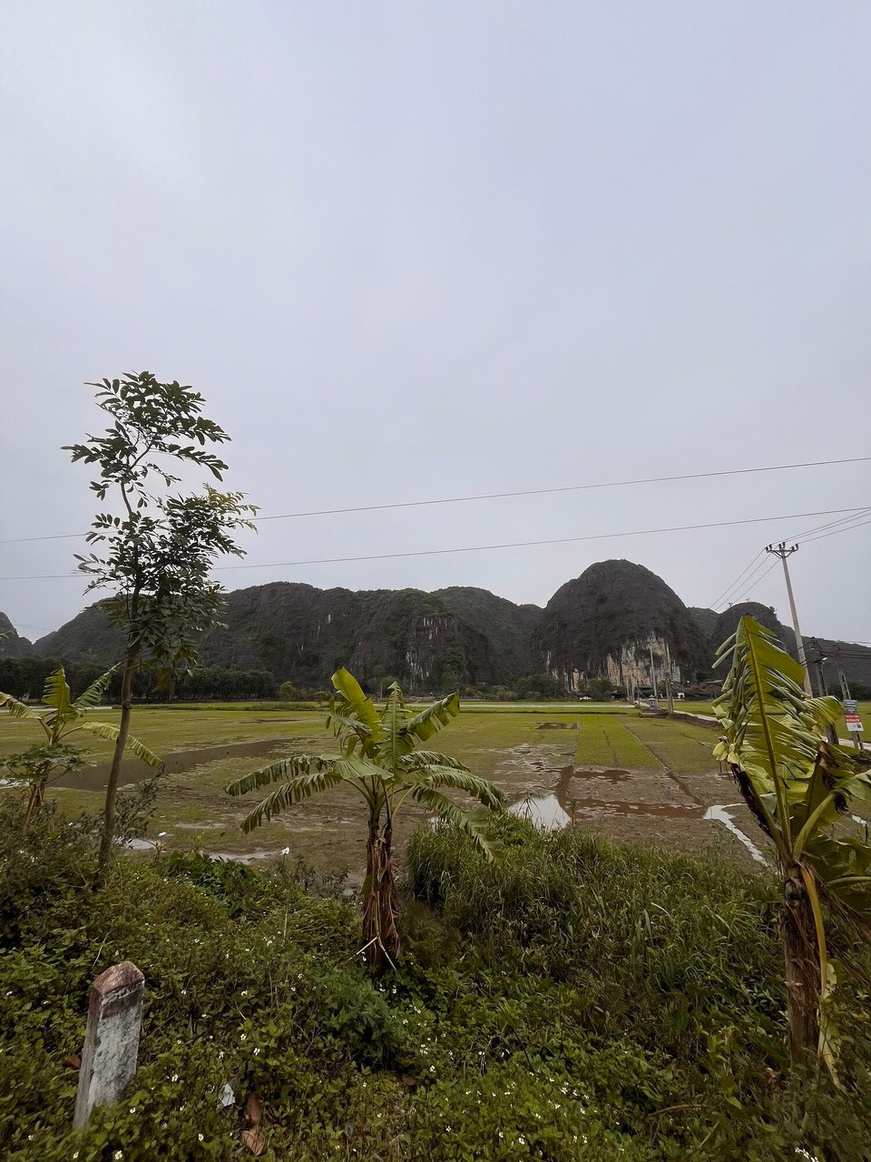 Vietnam - Ninh Binh - Miserable day but the views were nice. Took a stroll out to get some toiletries and get some cash out and then headed back to the hostel and got ready for the evening. Went to Banana Tree hostel for drinks as we had tried to book to stay there but it was full