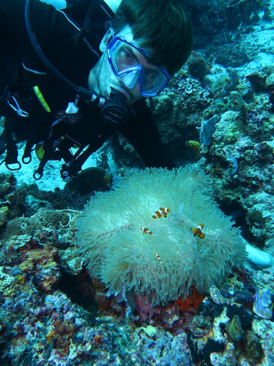 Indonesia - Komodo National Park - Selfi clown