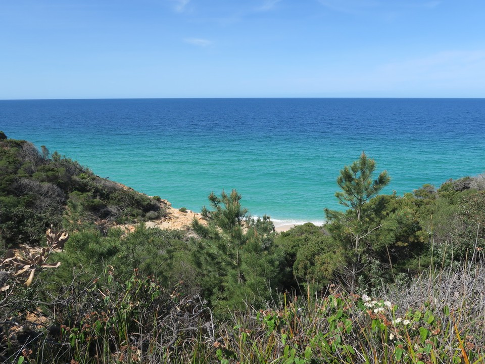 Australia - Eden - Sapphire coast