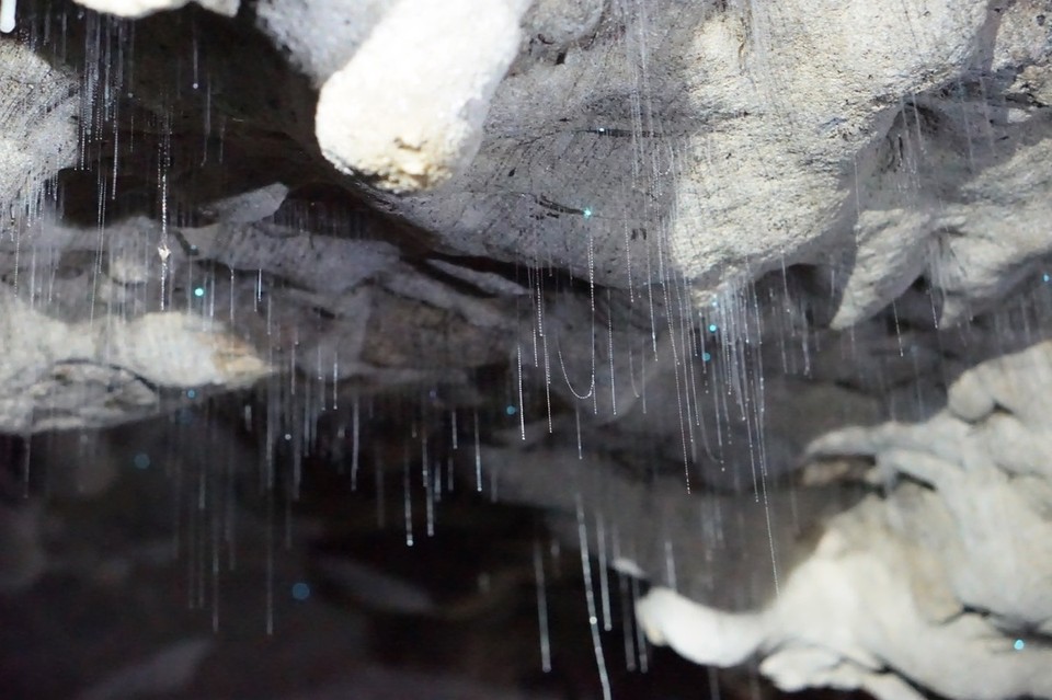 Neuseeland - Waitomo-Distrikt - 