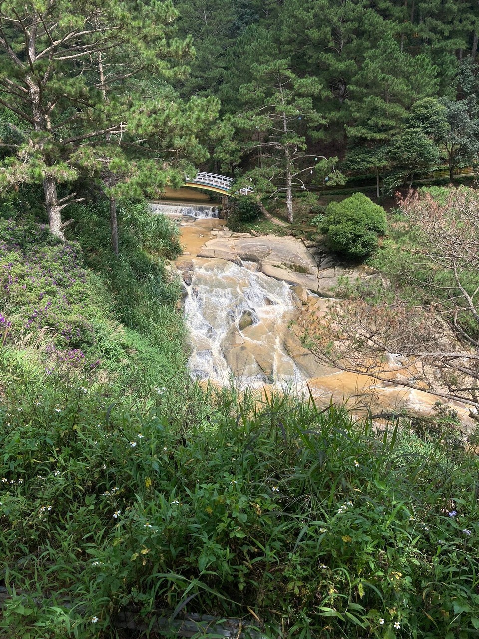 Vietnam - Da Lat - Thac bao dai Waterfall