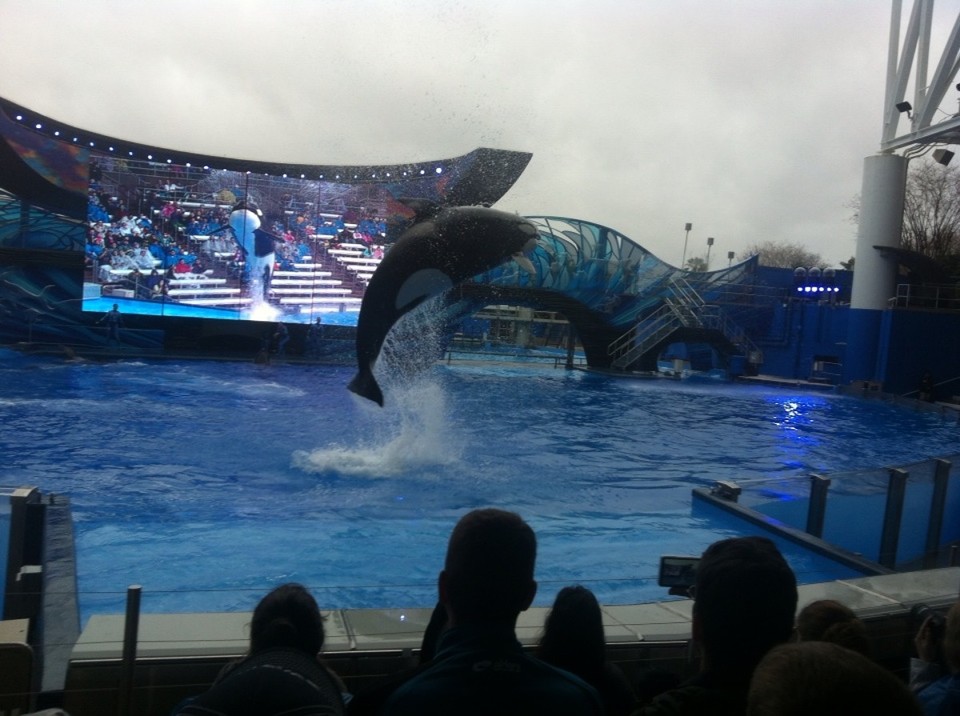 Egyesült Államok - Orlando - 