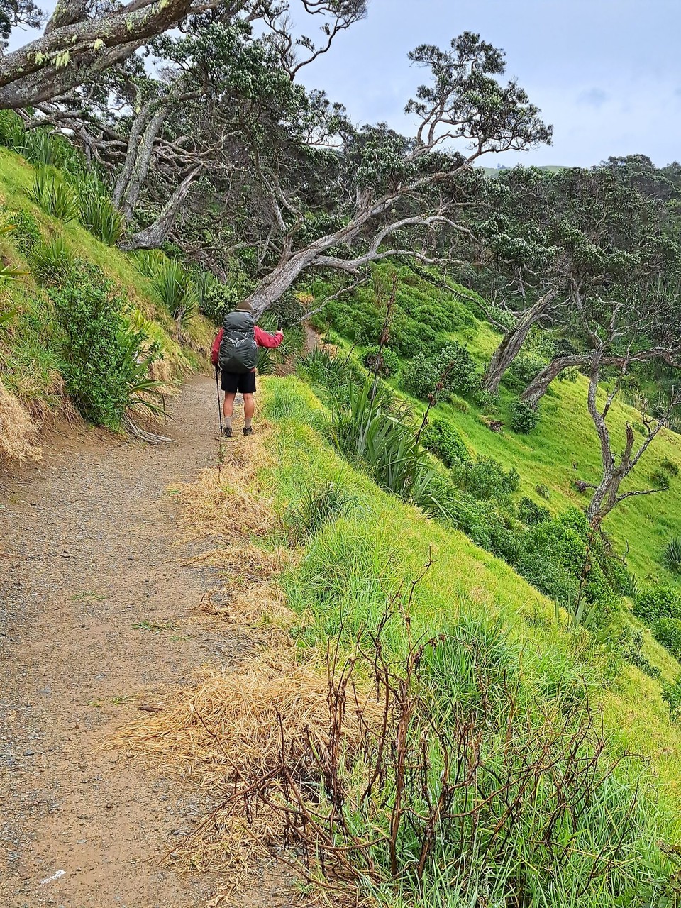 Neuseeland - Mangawhai - 