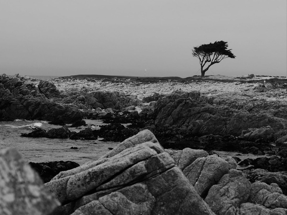 USA - Monterey - 17-Mile Drive