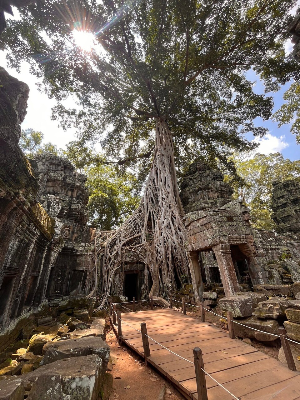 Cambodia - Siem Reap - 
