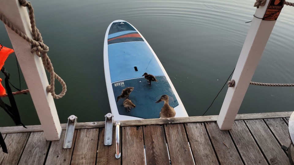 Deutschland - Heidesee - mit Familie
