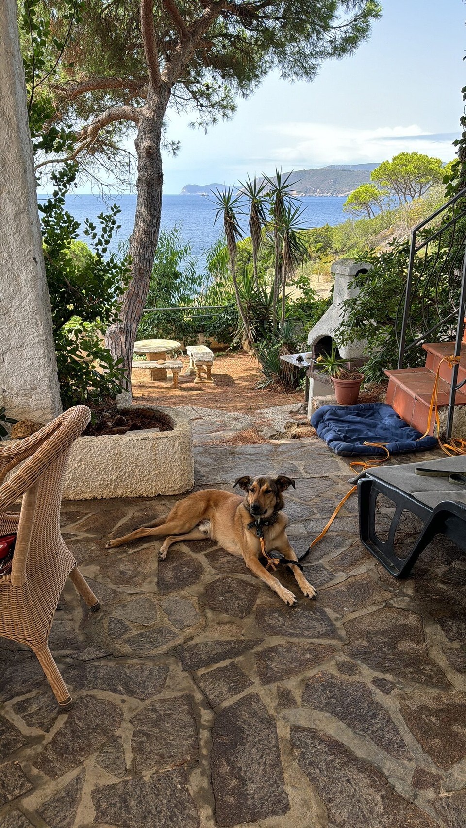 Italien - Capoliveri - …………angekommen 