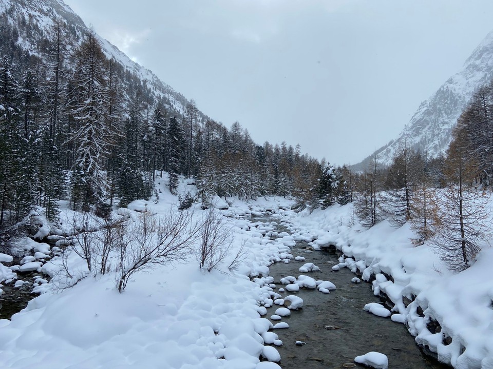Schweiz - Pontresina - 