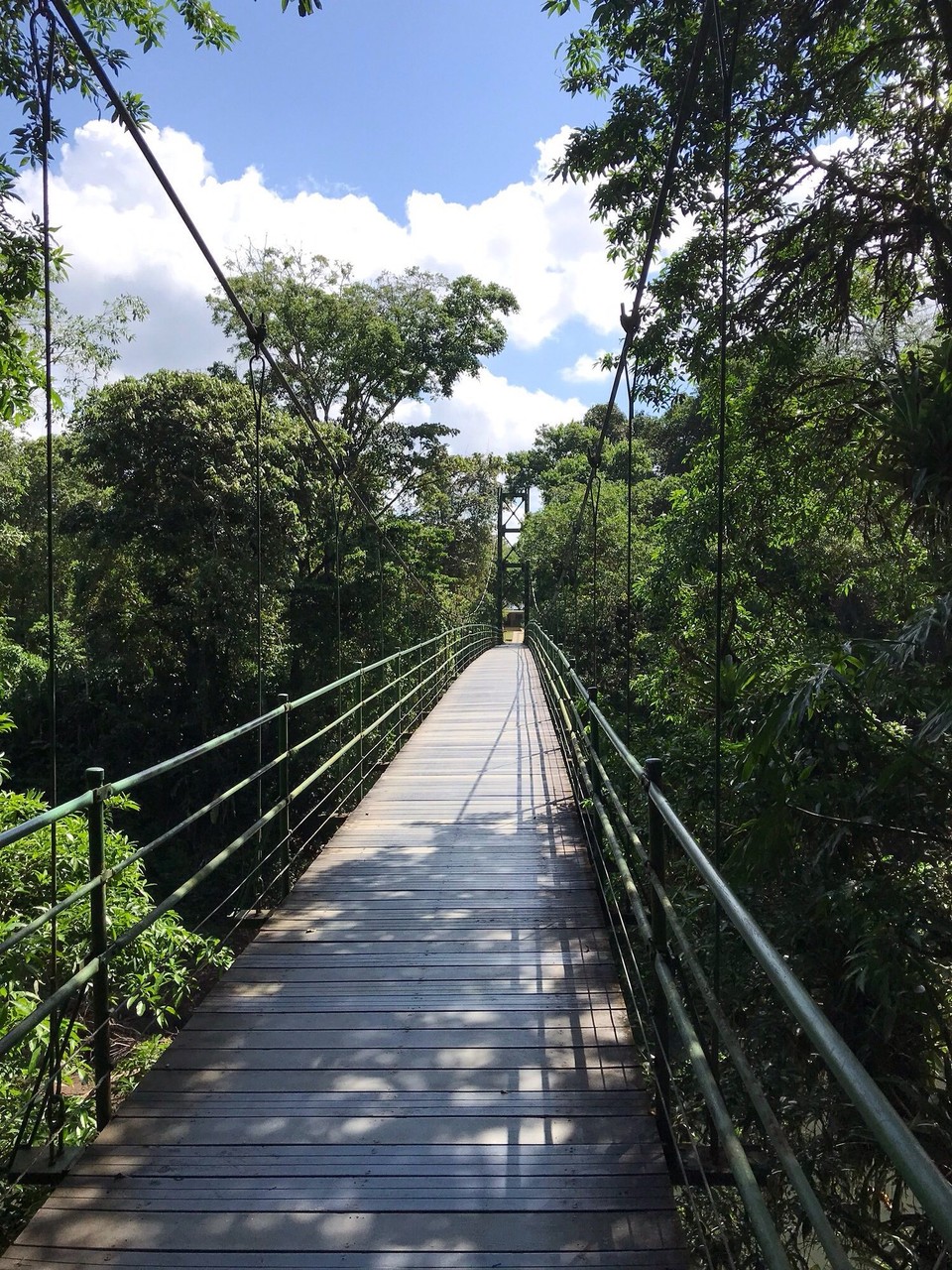 Costa Rica - Sarapiqui - 