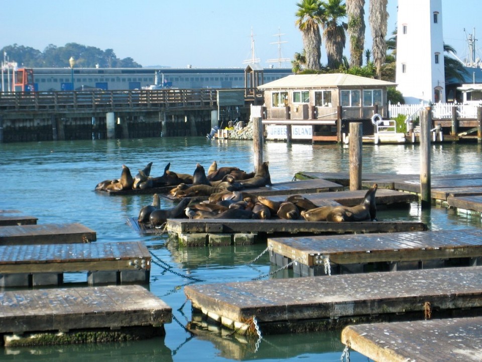 United States - San Francisco - 