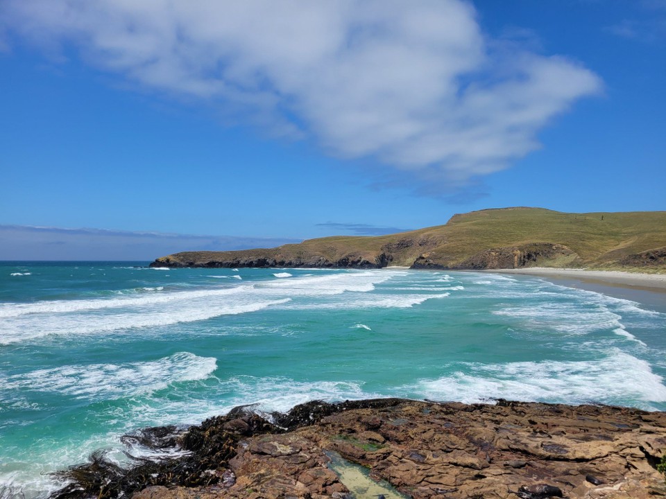Neuseeland - Otago Peninsula - 