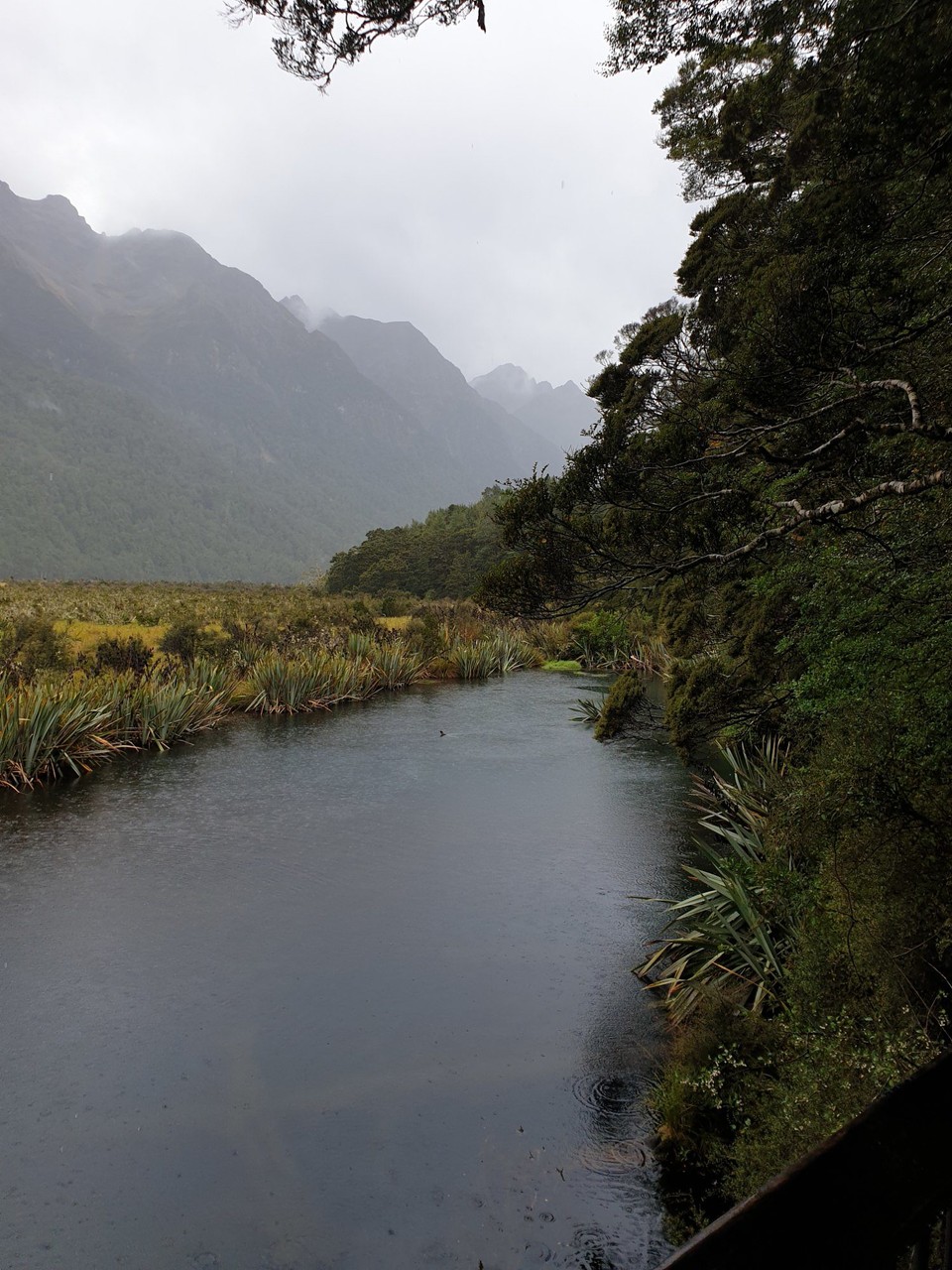 Neuseeland - Te Anau - 