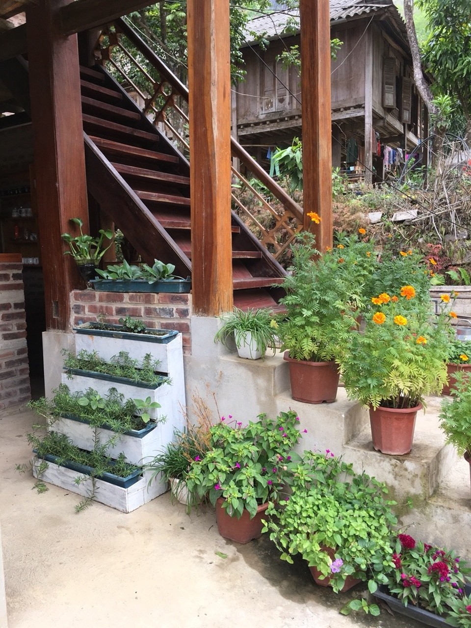 Vietnam - H. Mai Châu - 