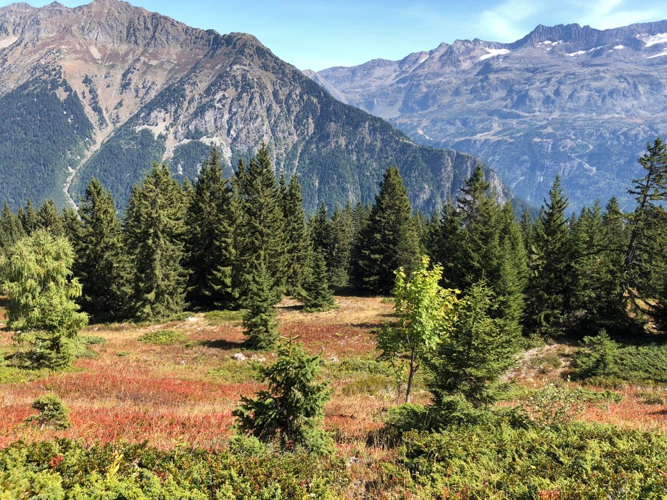 Frankreich - Allemond - 