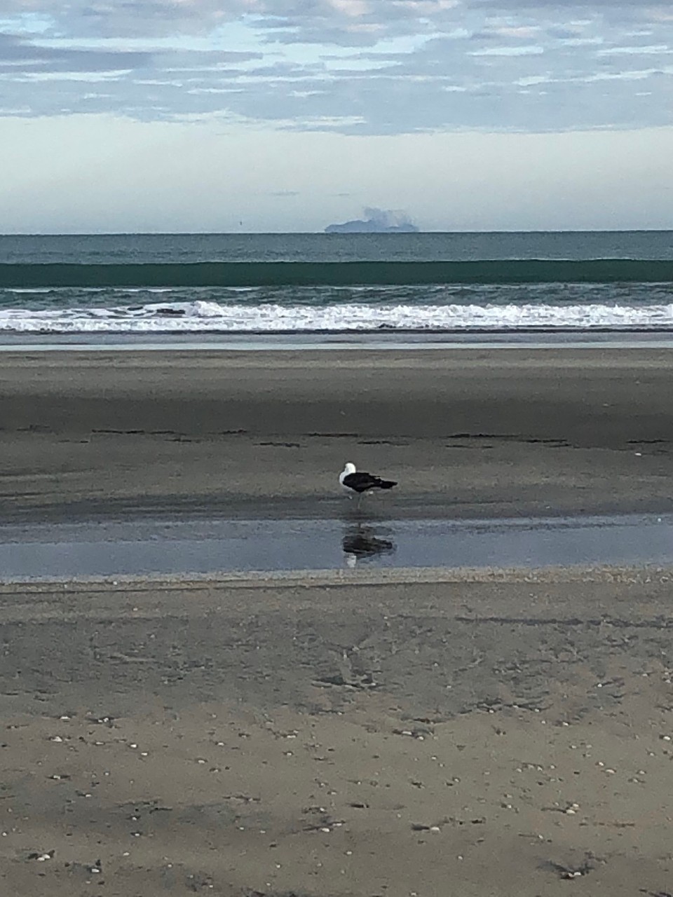 Neuseeland - Whakatane - So ein wunderschöner Strand hier in Ohope Beach