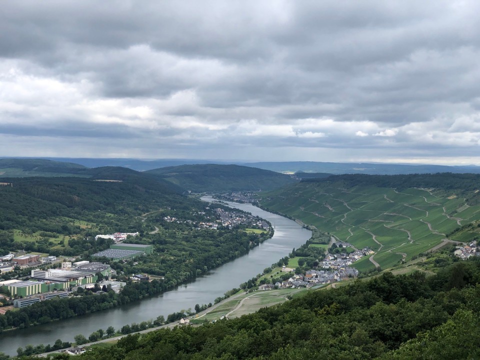 Deutschland - Ürzig - Blick nach vorn