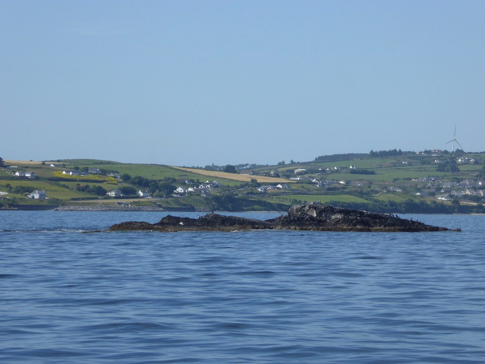 Ireland -  - Carrickapane covered in seabirds.