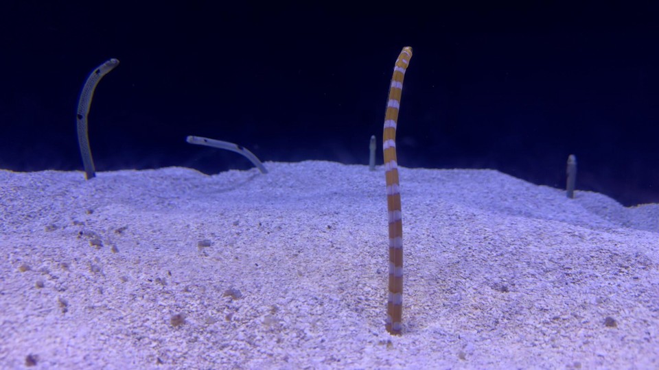 Vereinigte Staaten - Tampa - 