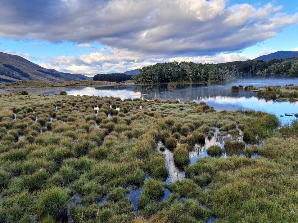 Neuseeland - Te Anau - 