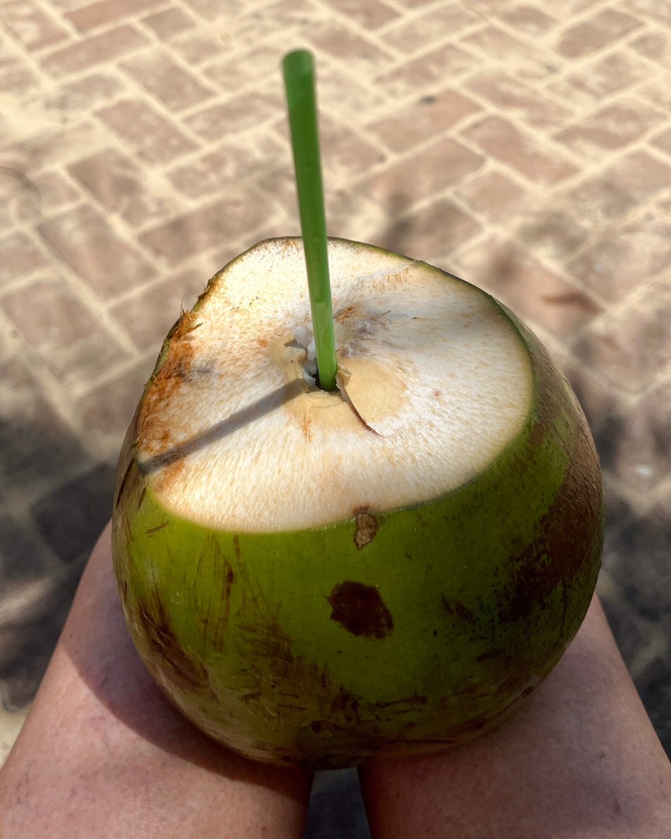 Brasilien - Mata De São João - 