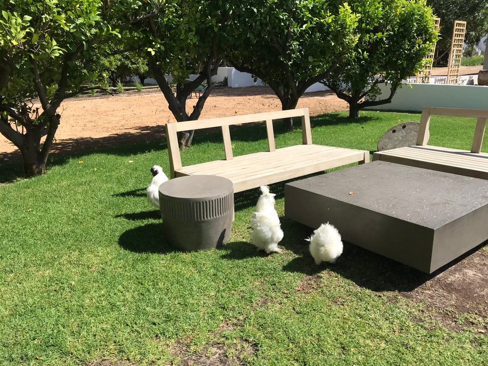 Südafrika - Stellenbosch - 
