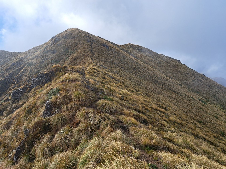 Neuseeland - Parawai Lodge - 
