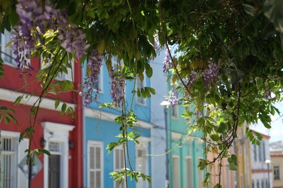 Chile - Valparaíso - 