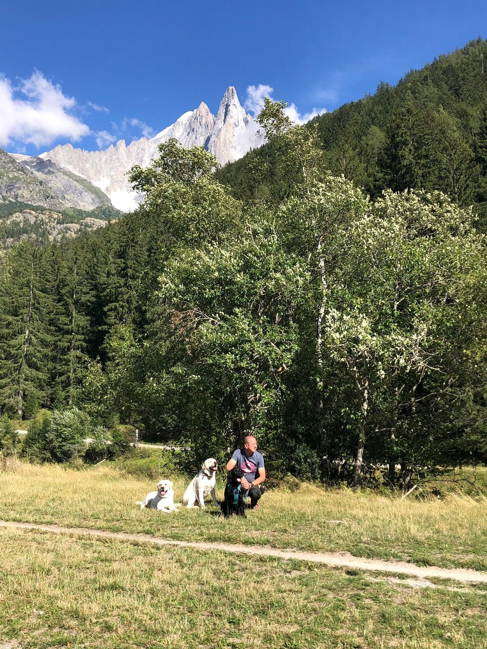 Frankreich - Chamonix - Warten auf die Hubschrauberlandung auf den Landeplatz der Gardamarie Charmonix gleich am Campingplatz. 