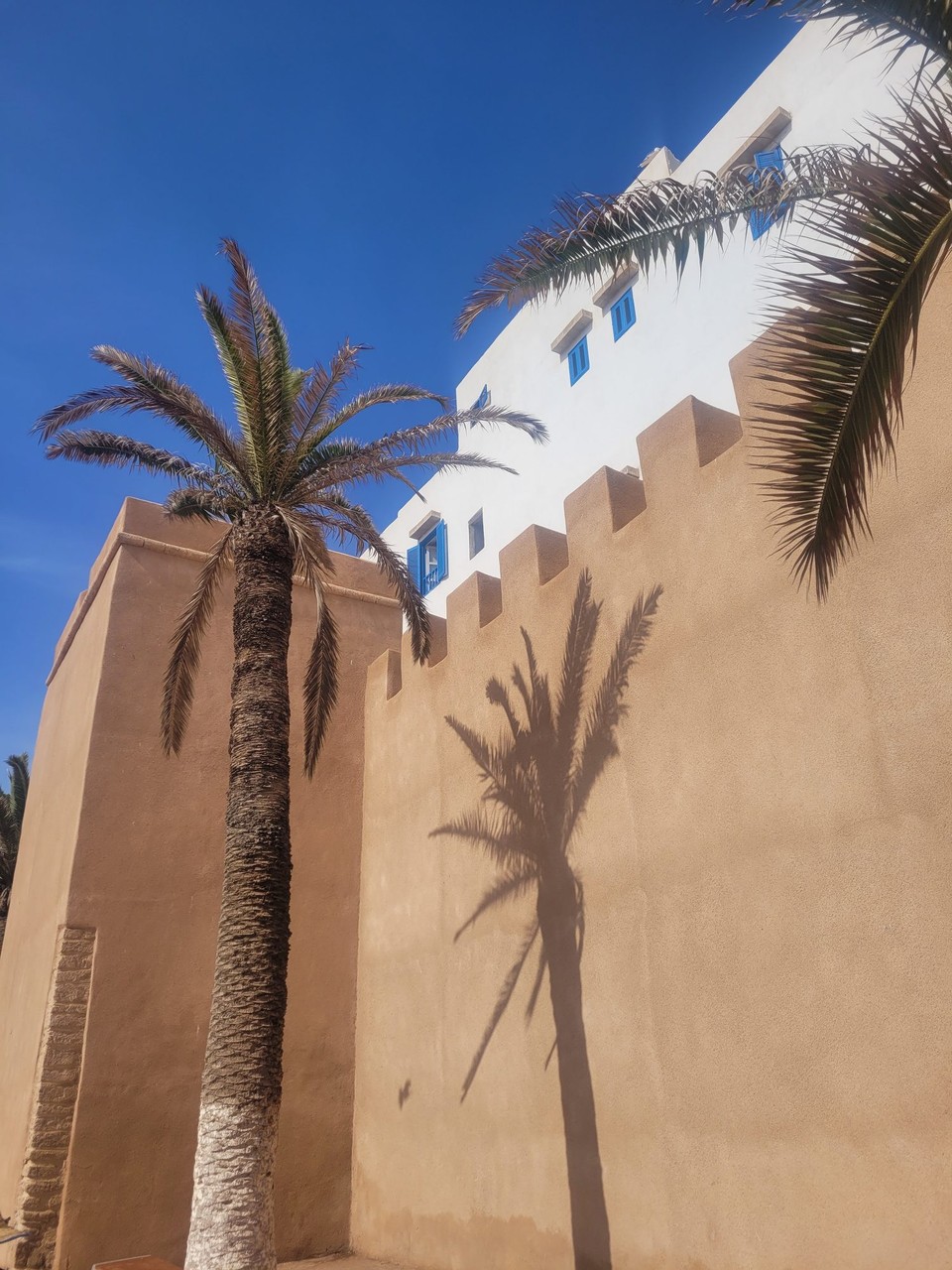 Marokko - Essaouira - 
