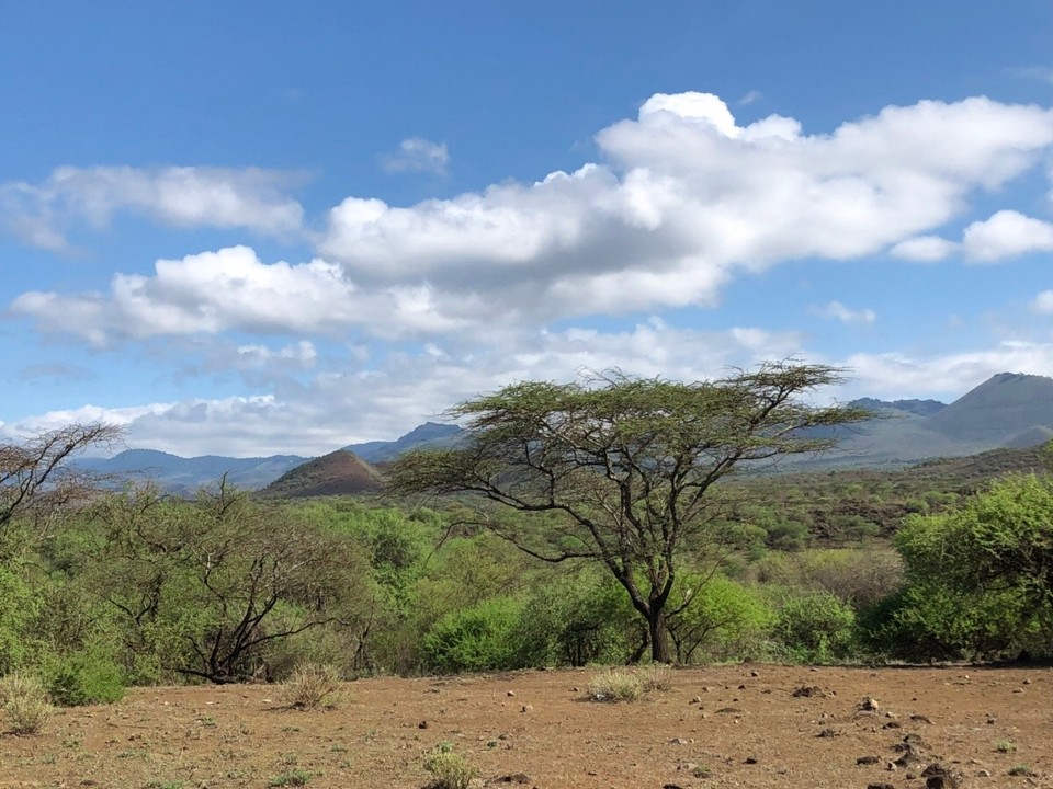 Kenia - Kajiado - Nächster halt : tsavo West 🧚🏾‍♀️