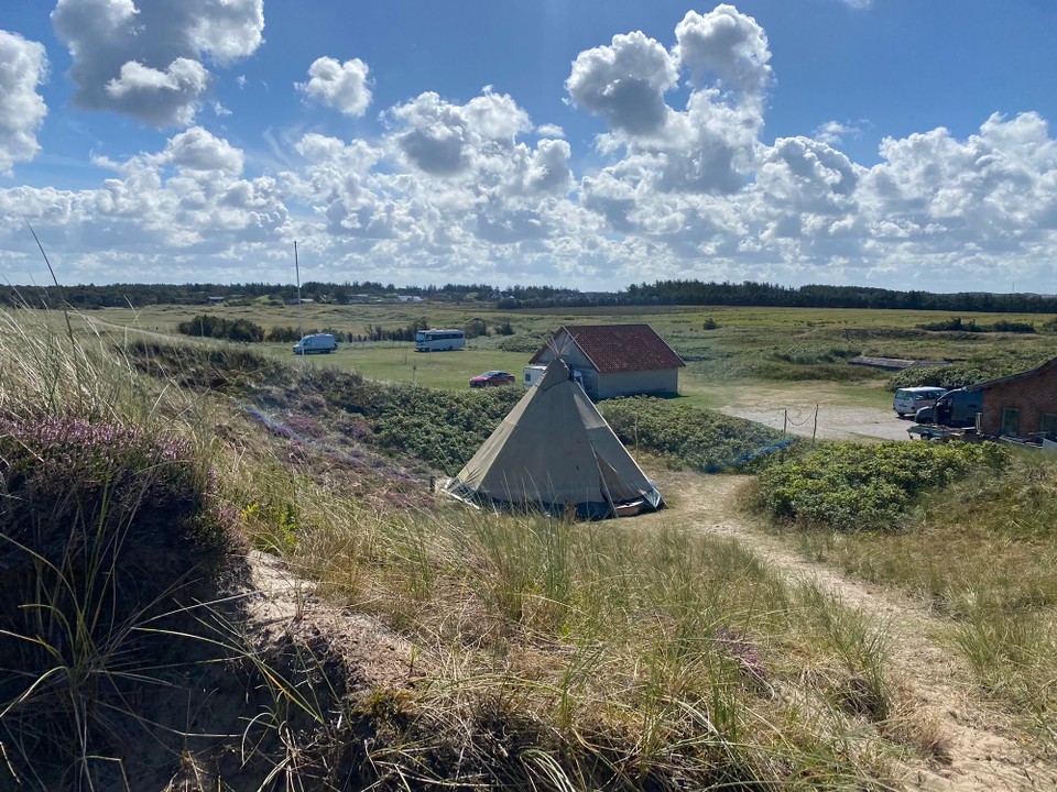 Dänemark - Thisted - Gemütlicher Stellplatz nicht weit vom Strand inmitten der schönen typisch Dänischen Heidedünen. 
