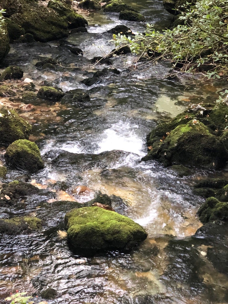 Österreich - Golling an der Salzach - Golling