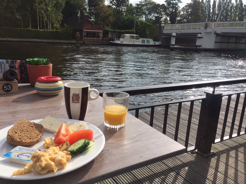 Niederlande - Leiden - Ham and eggs, huch...wo ist denn der ham? Möwen sind hier sehr clever und schnell :)